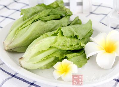 生菜不僅好吃，而且營養價值相當的豐富哦