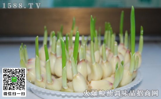 蒜苗的營養價值及功效