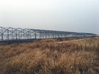 3月26日，位于沈陽康平的一處工地上，框架周圍長滿荒草，當地居民稱，此為輝山乳業在康平的項目之一。