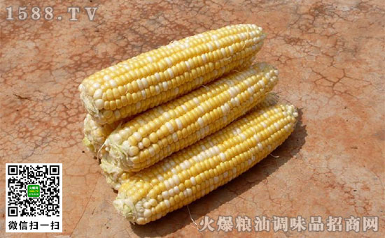 甜玉米的熱量，甜玉米吃了會長胖嗎