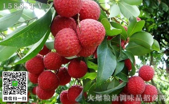 荔枝不能和什么一起吃，什么人不宜吃荔枝
