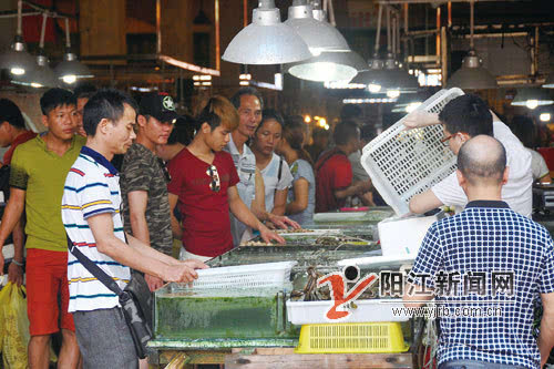 按此在新窗口瀏覽圖片