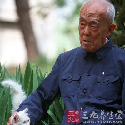 午飯后，他都要在書房的舊藤椅上小憩片刻。而這時，老人鐘愛的小貓咪便會跳上他的膝蓋