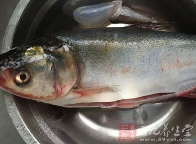 每100克鰱魚中，約含蛋白質18.6克，脂肪4.6克