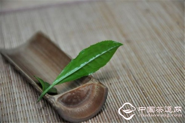 中國茶道網
