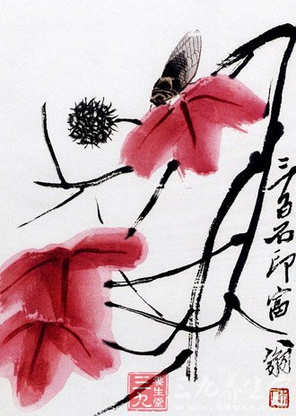 齊白石一生總結的養生經